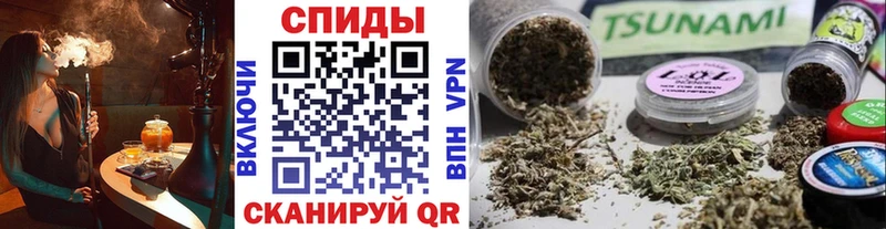 Купить закладки Покров Бутират BDO 33%