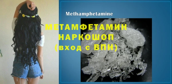 шишки Саяногорск