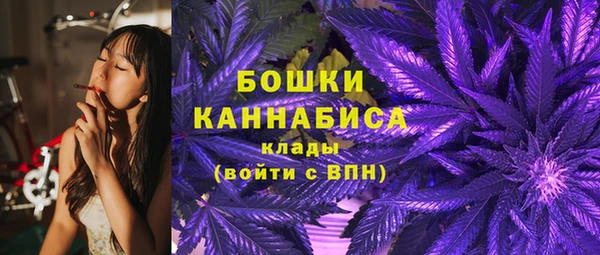прущий лед Богородицк