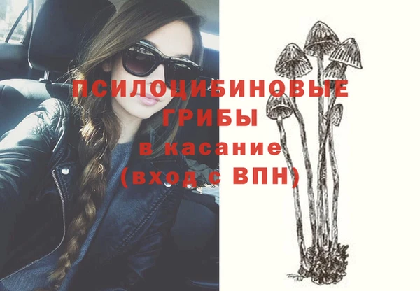 прущий лед Богородицк