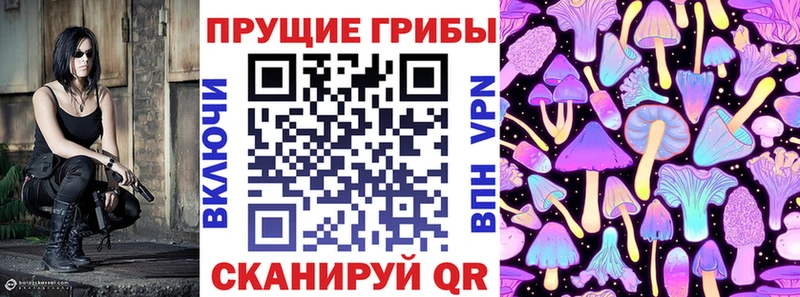 Купить закладки  Покров  Галлюциногенные грибы Psilocybe 